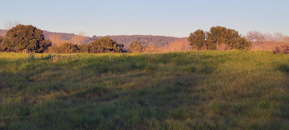 ML81883076 Property Photo 14