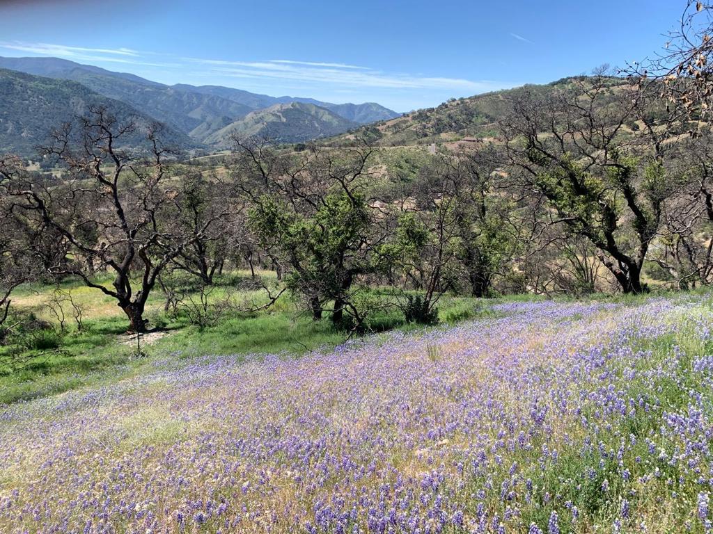 0 Cachagua Property Photo