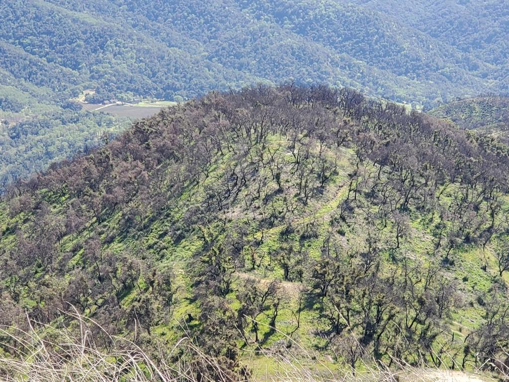 0 Cachagua Property Photo 3