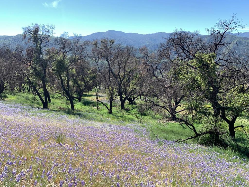 0 Cachagua Property Photo 7