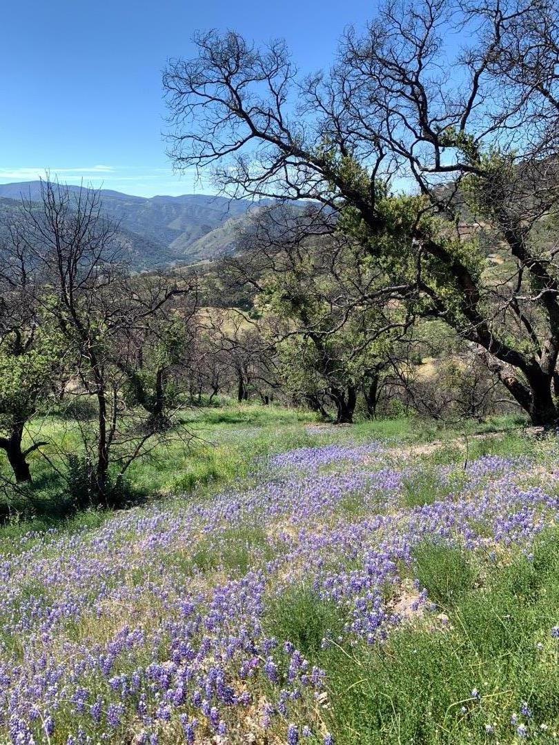 0 Cachagua Property Photo 8