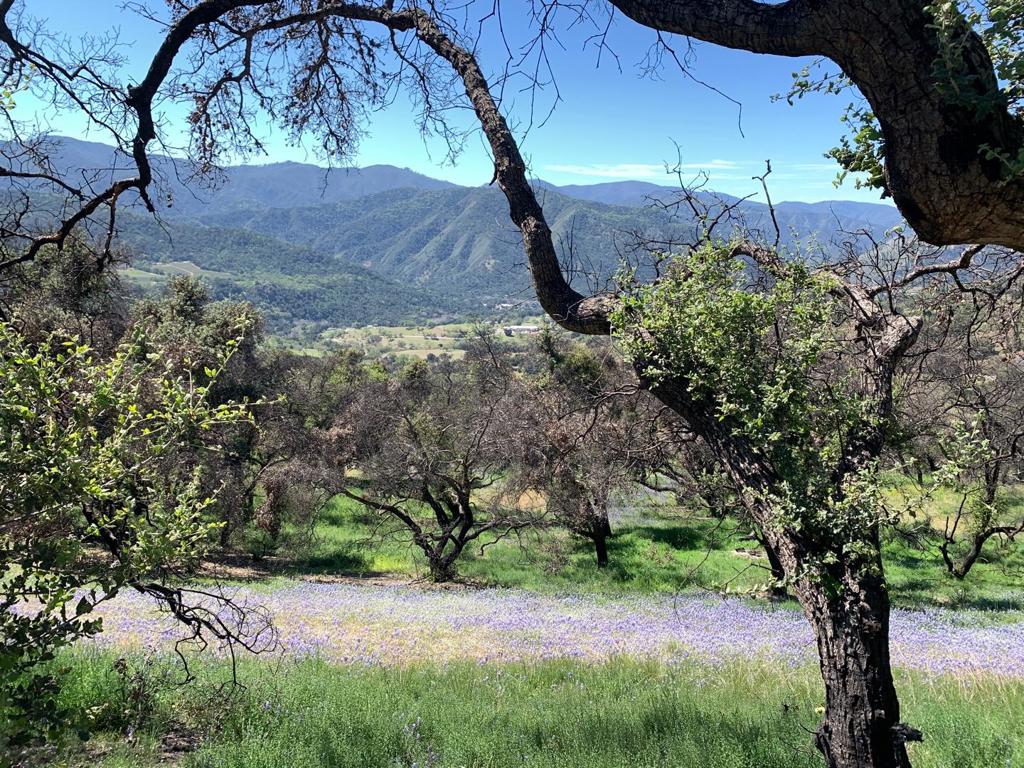 0 Cachagua Property Photo 13