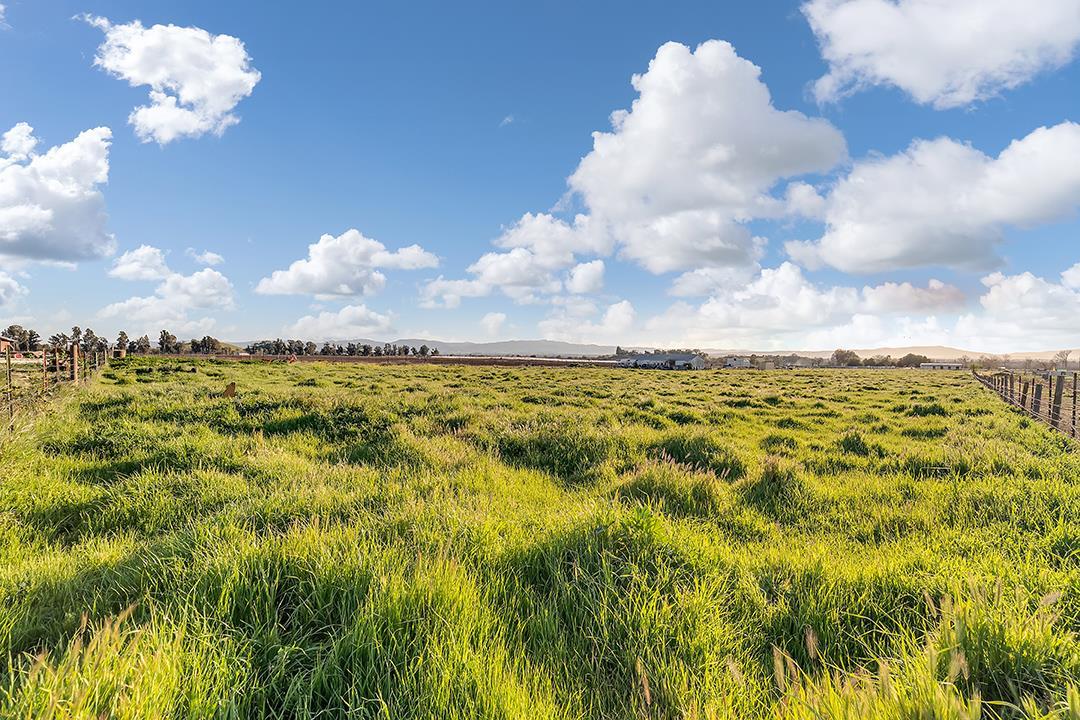 ML81884290 Property Photo 19