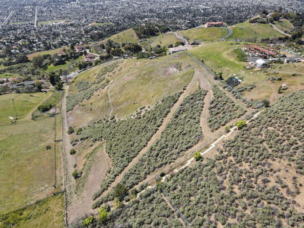 10714 Crothers Road Property Photo 24