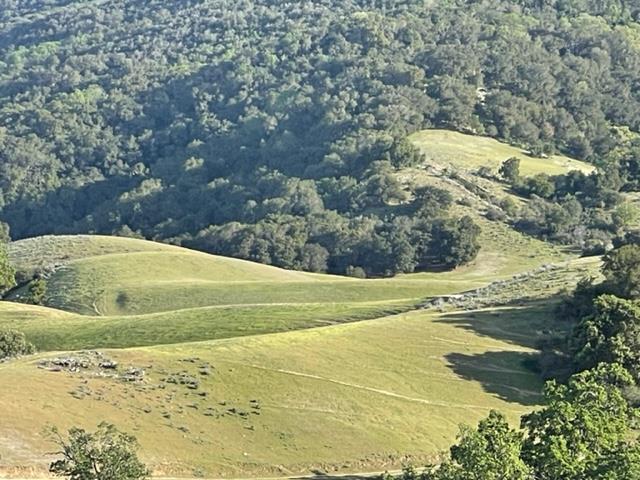7600 Cienega Road Property Photo 2