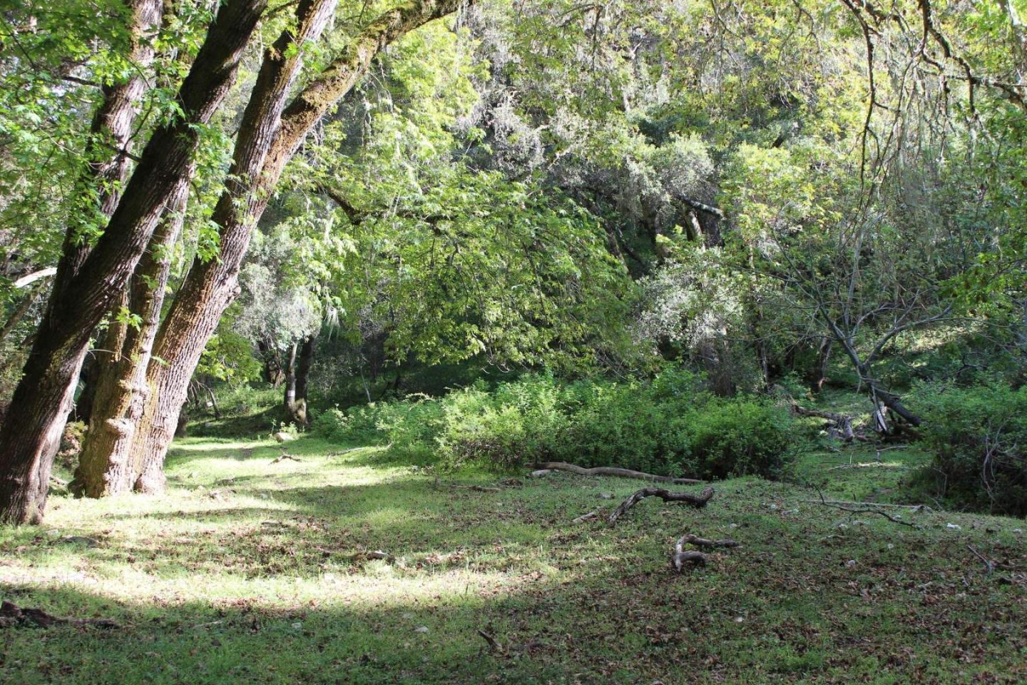 7600 Cienega Road Property Photo 9
