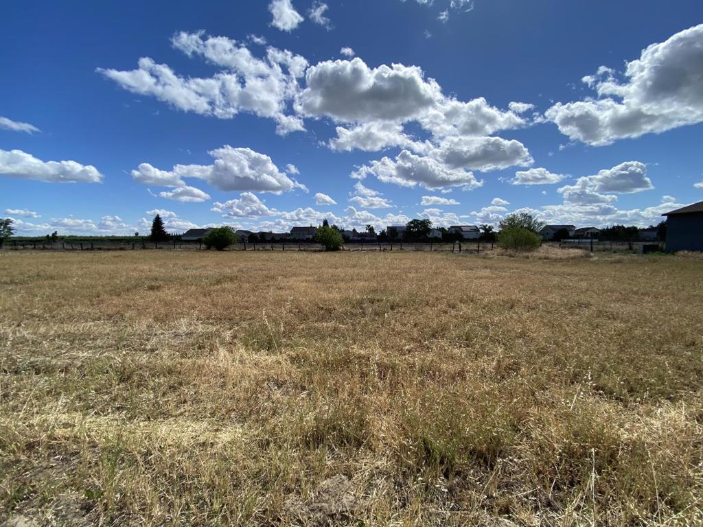 16244 Cottage Avenue Property Photo 3