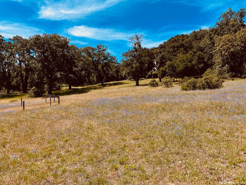 34221 Robinson Canyon Road Property Photo