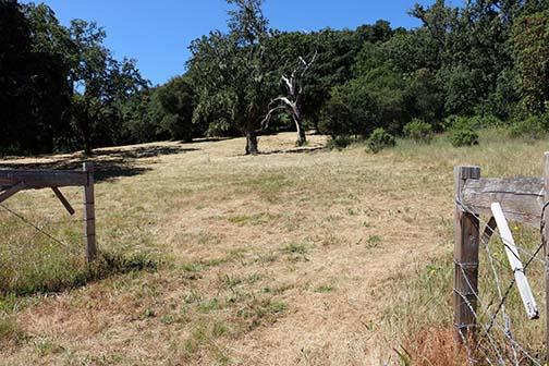34221 Robinson Canyon Road Property Photo 1