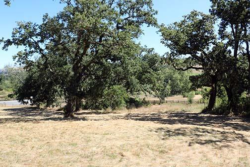 34221 Robinson Canyon Road Property Photo 2