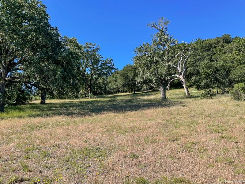 34221 Robinson Canyon Road Property Photo 3