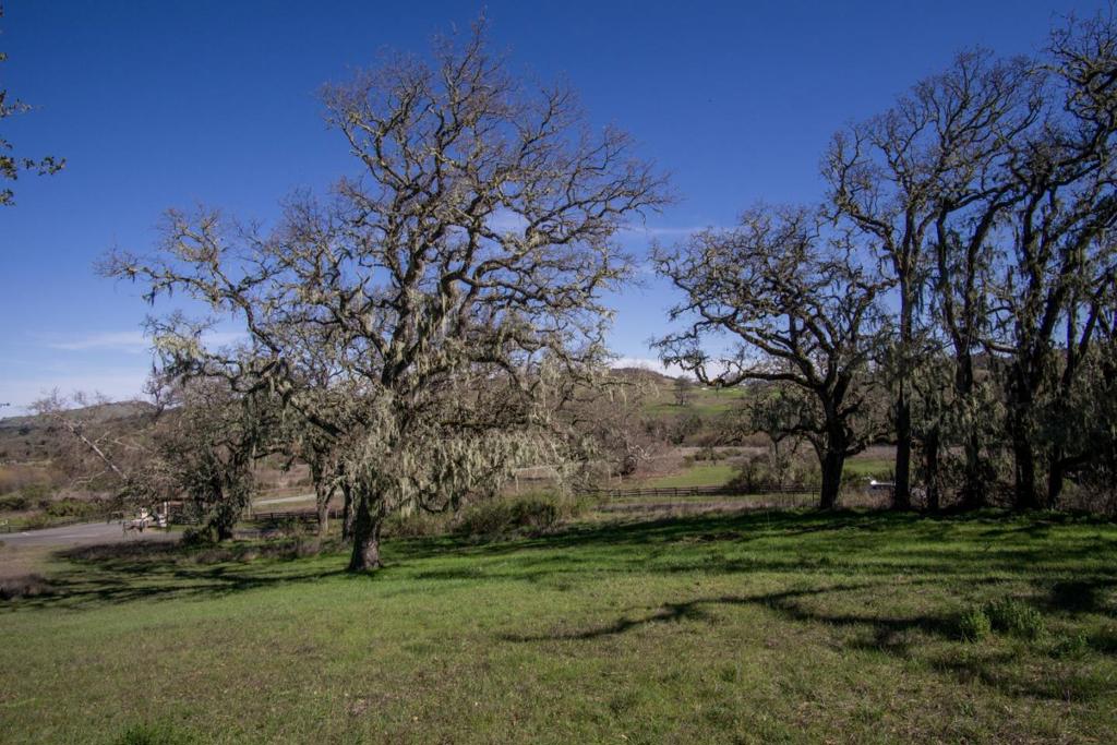 34221 Robinson Canyon Road Property Photo 5