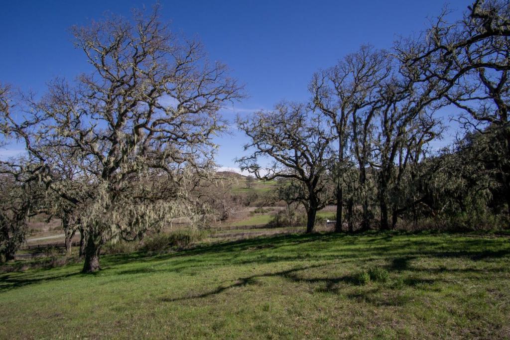 34221 Robinson Canyon Road Property Photo 6