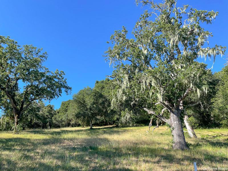 34221 Robinson Canyon Road Property Photo 7