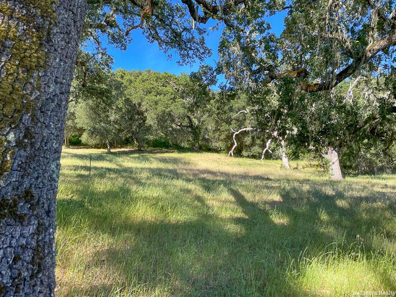 34221 Robinson Canyon Road Property Photo 8