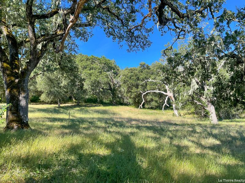 34221 Robinson Canyon Road Property Photo 9
