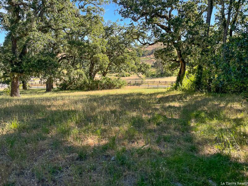 34221 Robinson Canyon Road Property Photo 10