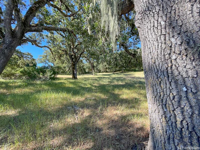 34221 Robinson Canyon Road Property Photo 12