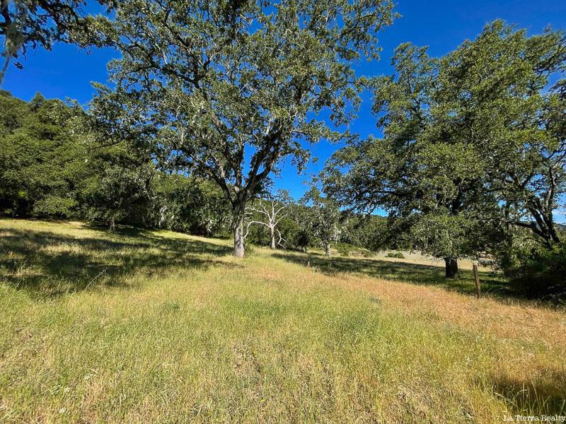 34221 Robinson Canyon Road Property Photo 13