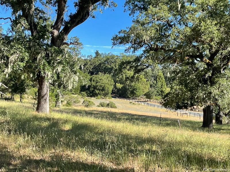 34221 Robinson Canyon Road Property Photo 14