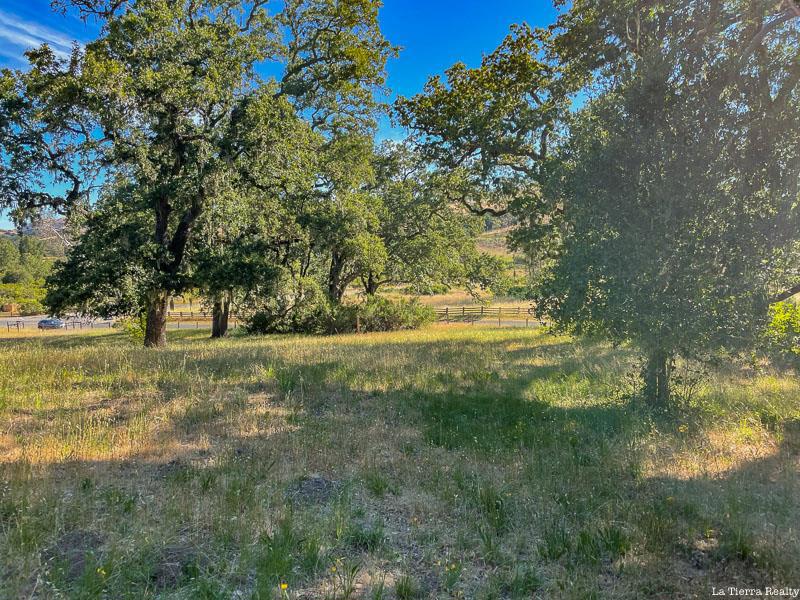 34221 Robinson Canyon Road Property Photo 15
