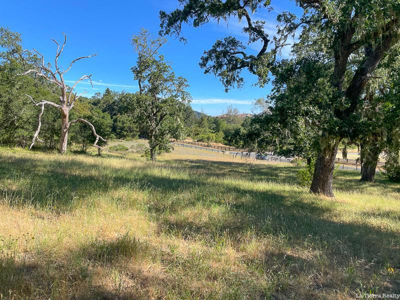 34221 Robinson Canyon Road Property Photo 16