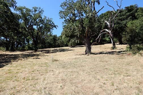 34221 Robinson Canyon Road Property Photo 17