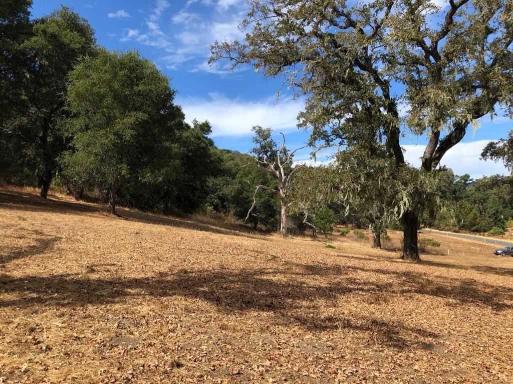 34221 Robinson Canyon Road Property Photo 18