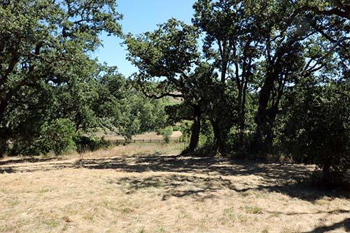 34221 Robinson Canyon Road Property Photo 19
