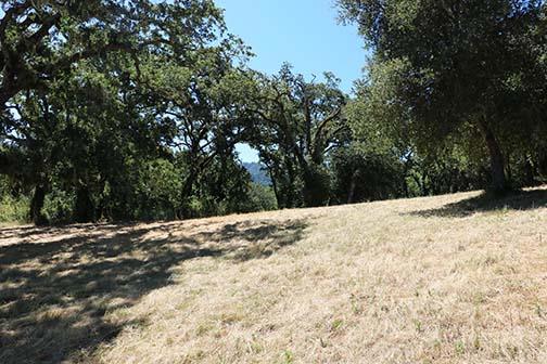 34221 Robinson Canyon Road Property Photo 20