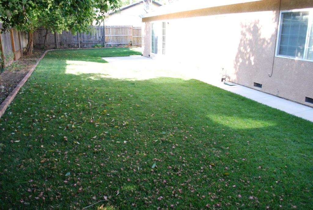 ML81898839 Property Photo 6