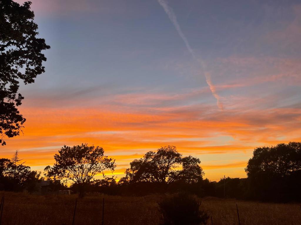 7736 Gravenstein Highway Property Photo 34