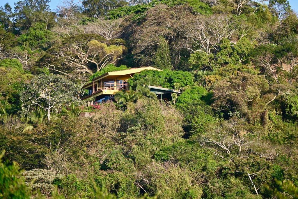 123 Natureza Viva Avenue Property Photo 2