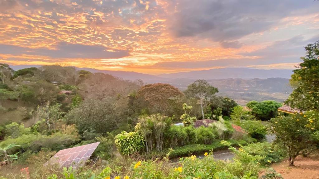 123 Natureza Viva Avenue Property Photo 6
