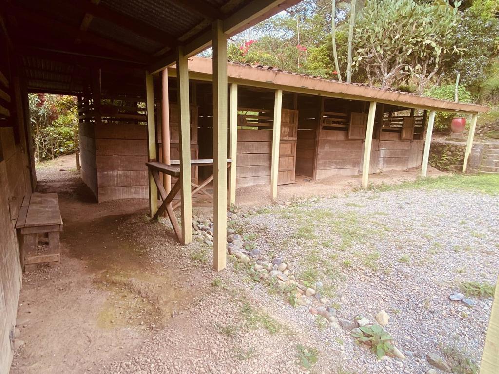 123 Natureza Viva Avenue Property Photo 15