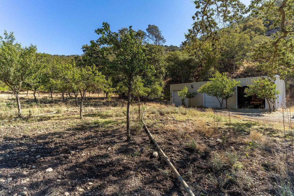 0 Pacheco Pass Hwy Property Photo 16