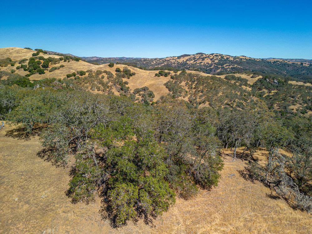 0 Pacheco Pass Hwy Property Photo 34