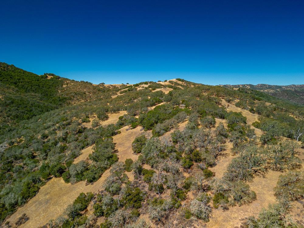0 Pacheco Pass Hwy Property Photo 41