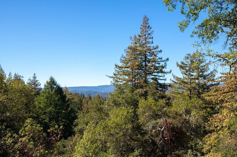 3500 Bear Canyon Road Property Photo 3