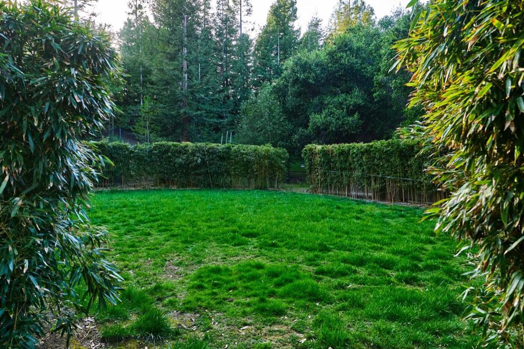 24301 Elise Court Property Photo 48