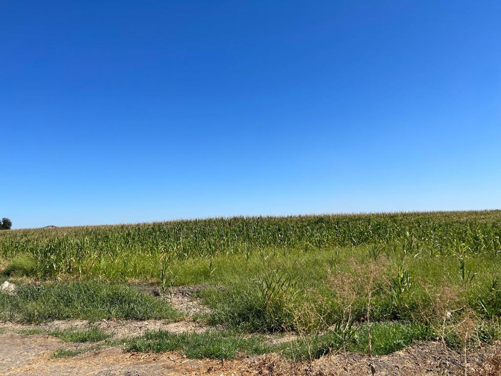 20444 S Lammers Road Property Photo 2