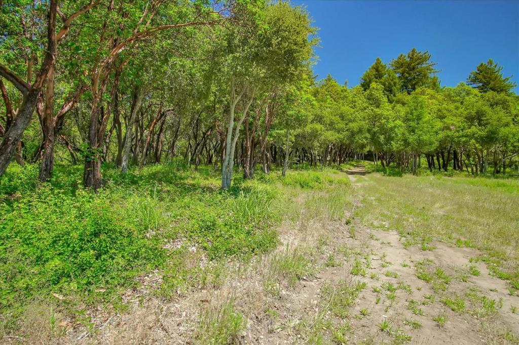 0 Apple Valley Property Photo 3