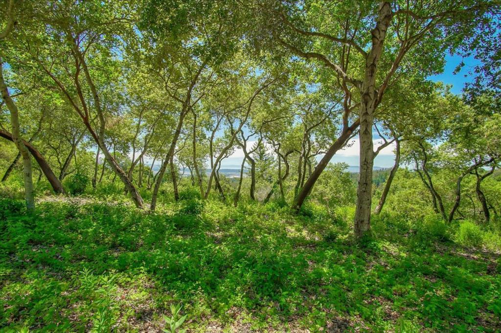 0 Apple Valley Property Photo 11