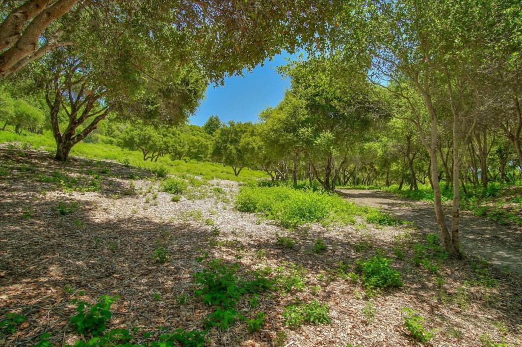 0 Apple Valley Property Photo 13