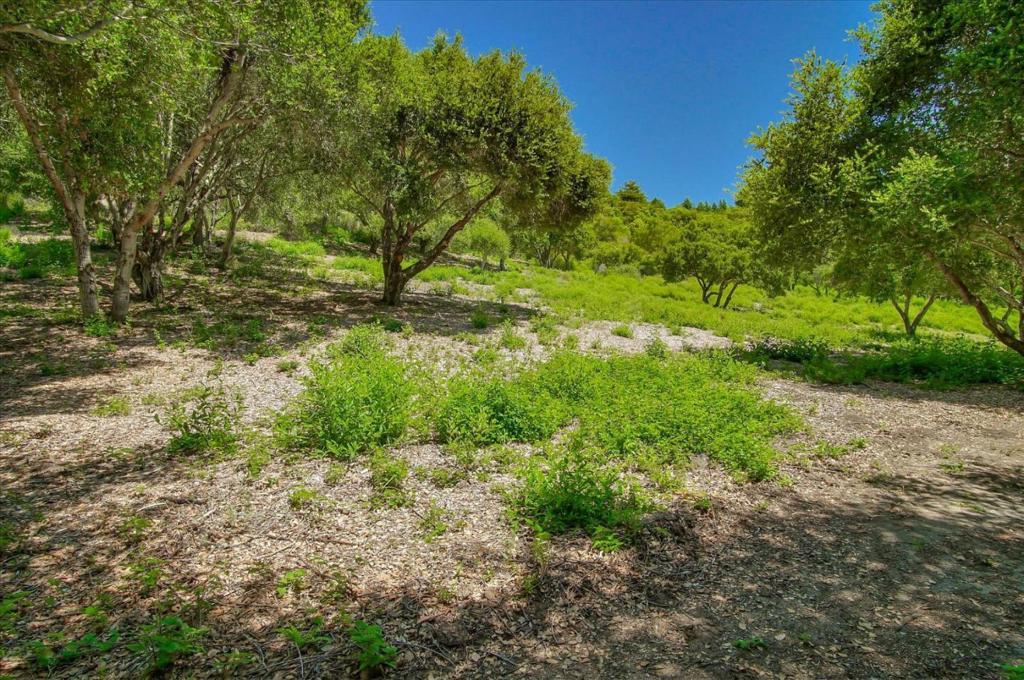 0 Apple Valley Property Photo 15