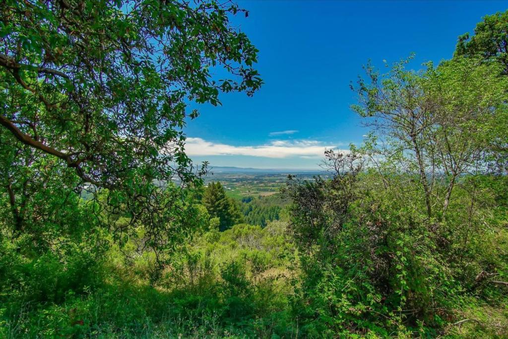 0 Apple Valley Property Photo 18