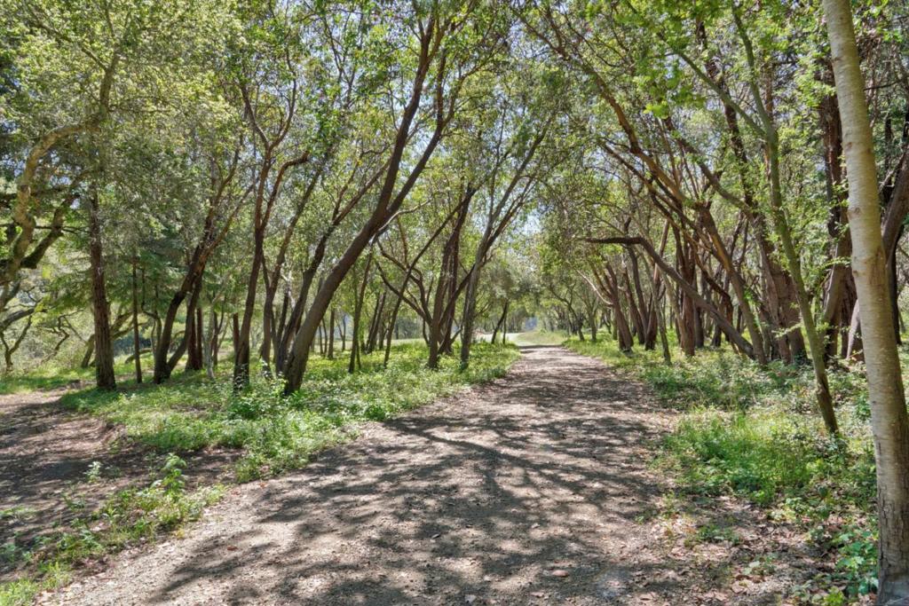 0 Apple Valley Property Photo 24