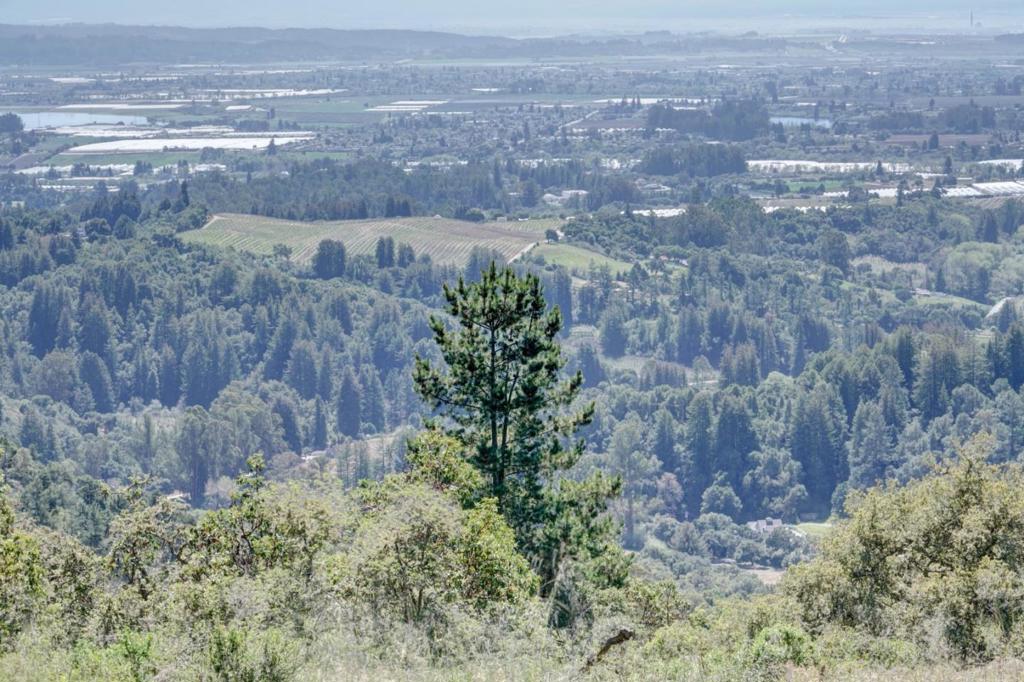 0 Apple Valley Property Photo 40