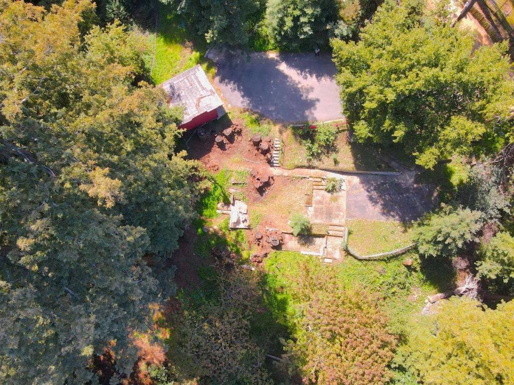 21578 Alma Court Property Photo 4