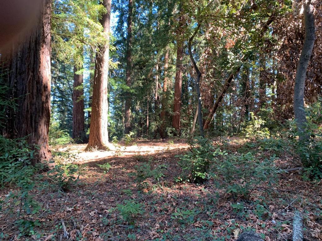 1 Santa Ana Road Property Photo 1